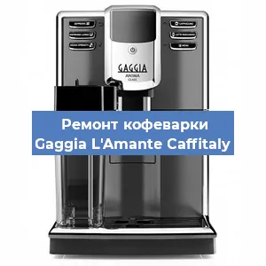 Декальцинация   кофемашины Gaggia L'Amante Caffitaly в Москве